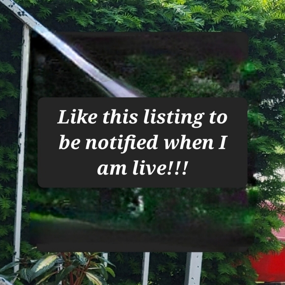 Be Notified when I'm live - Picture 1 of 1